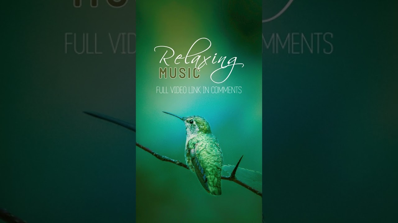 Beautiful Relaxing Music - Stop Overthinking, Stress Relief Music, Sleep Music, Calming Music
