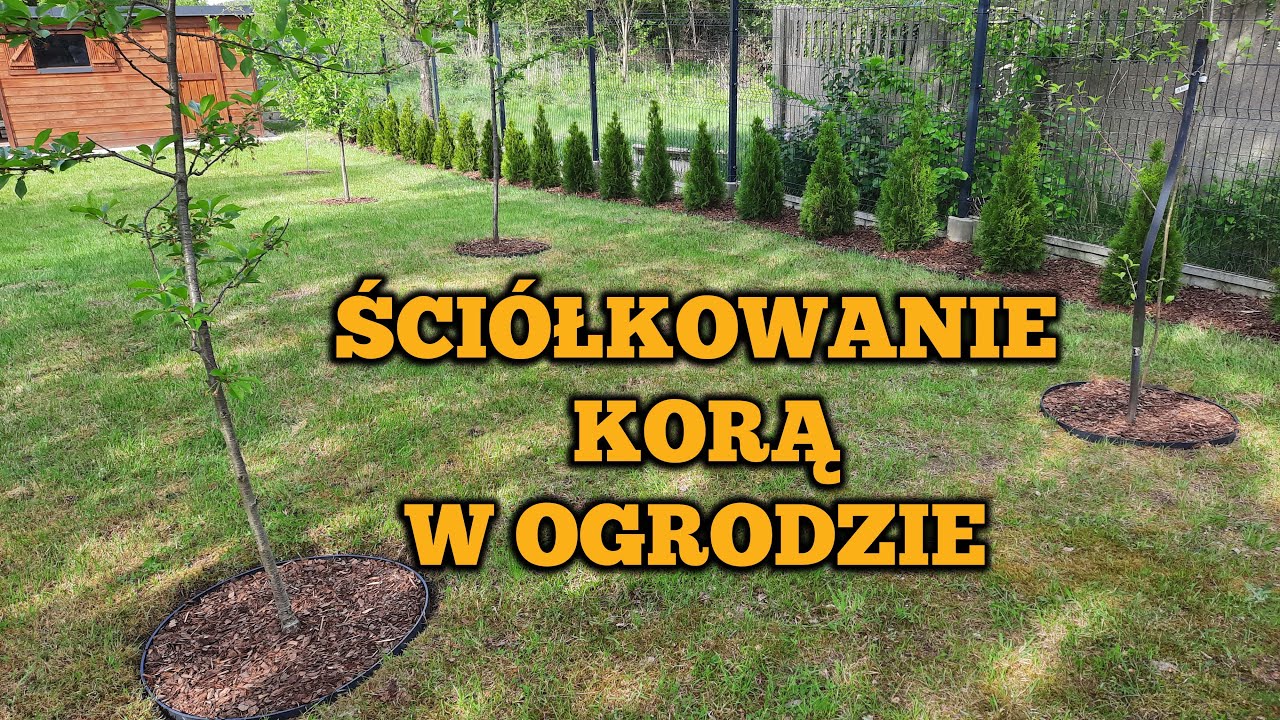 KORA SOSNOWA W OGRODZIE Robimy klomby z obrzeży trawnika, agrowłókniny i kory sosnowej! Vlog xyz