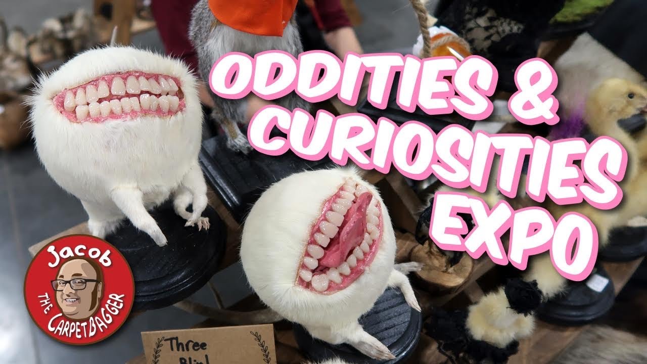 Oddities and Curiosities Expo - Knoxville, TN - 2021