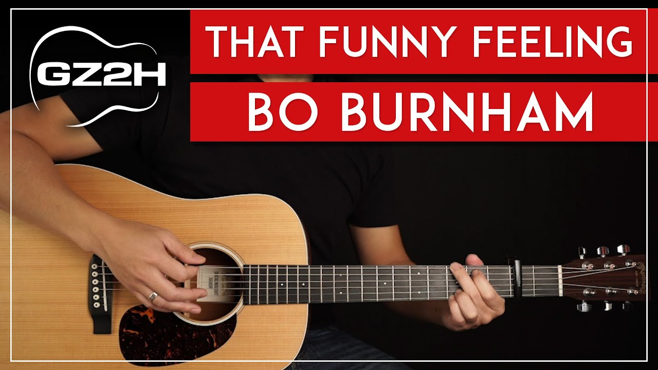 That Funny Feeling Guitar Tutorial Bo Burnham Guitar Lesson |Easy Chords|