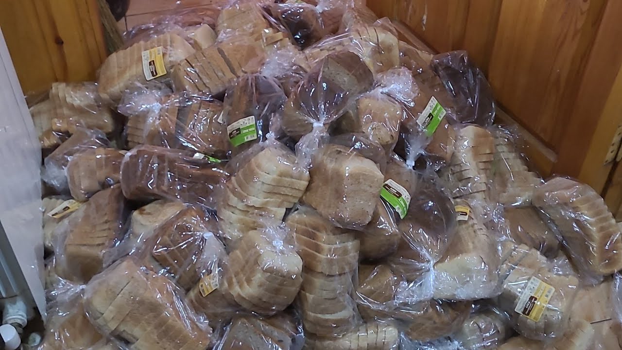 Брага из 100 булок хлеба на дрожжах Кодзи