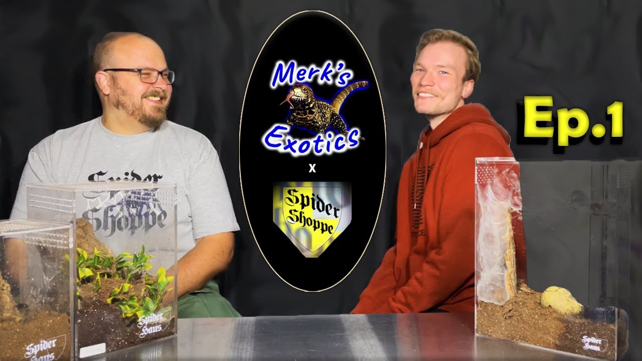 Overcoming Arachnophobia || The Spider Shoppe (Full Length) Ep.1