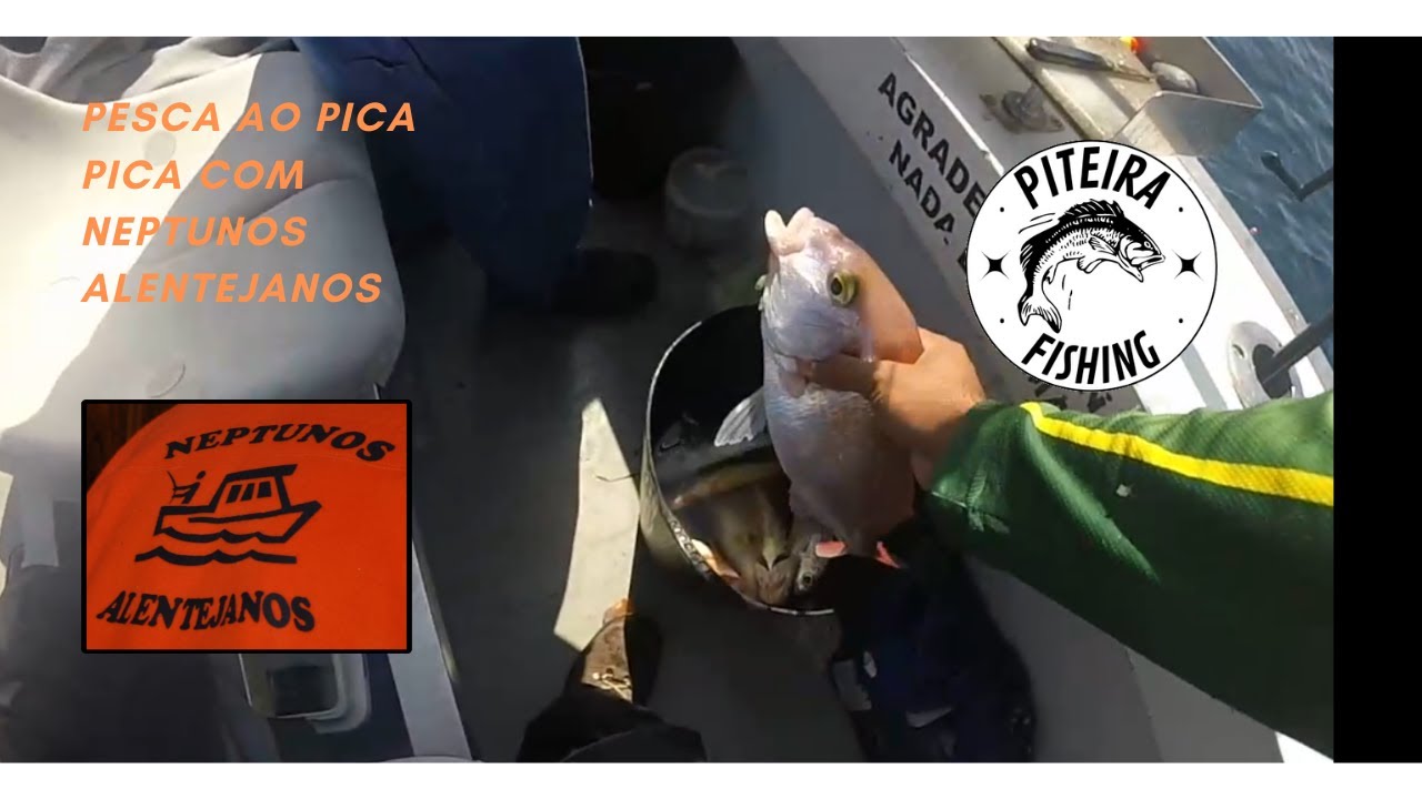 Pescaria no mar ao Pica Pica - Sines!