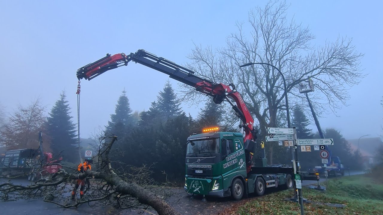 Eschen Fällung unter extremen Bedingungen! Das war knapp!Unfall! FÄLLKRAN-LKW