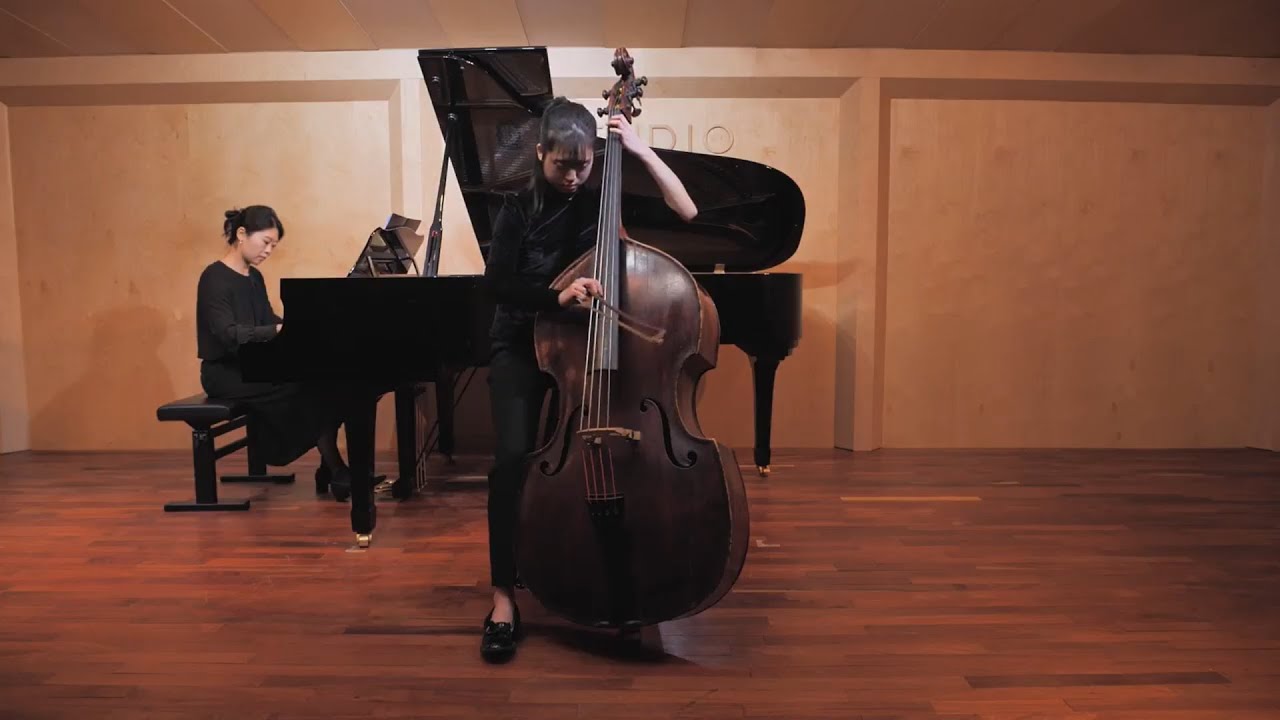 P. Sarasate Carmen Fantasy for Double Bass and Piano