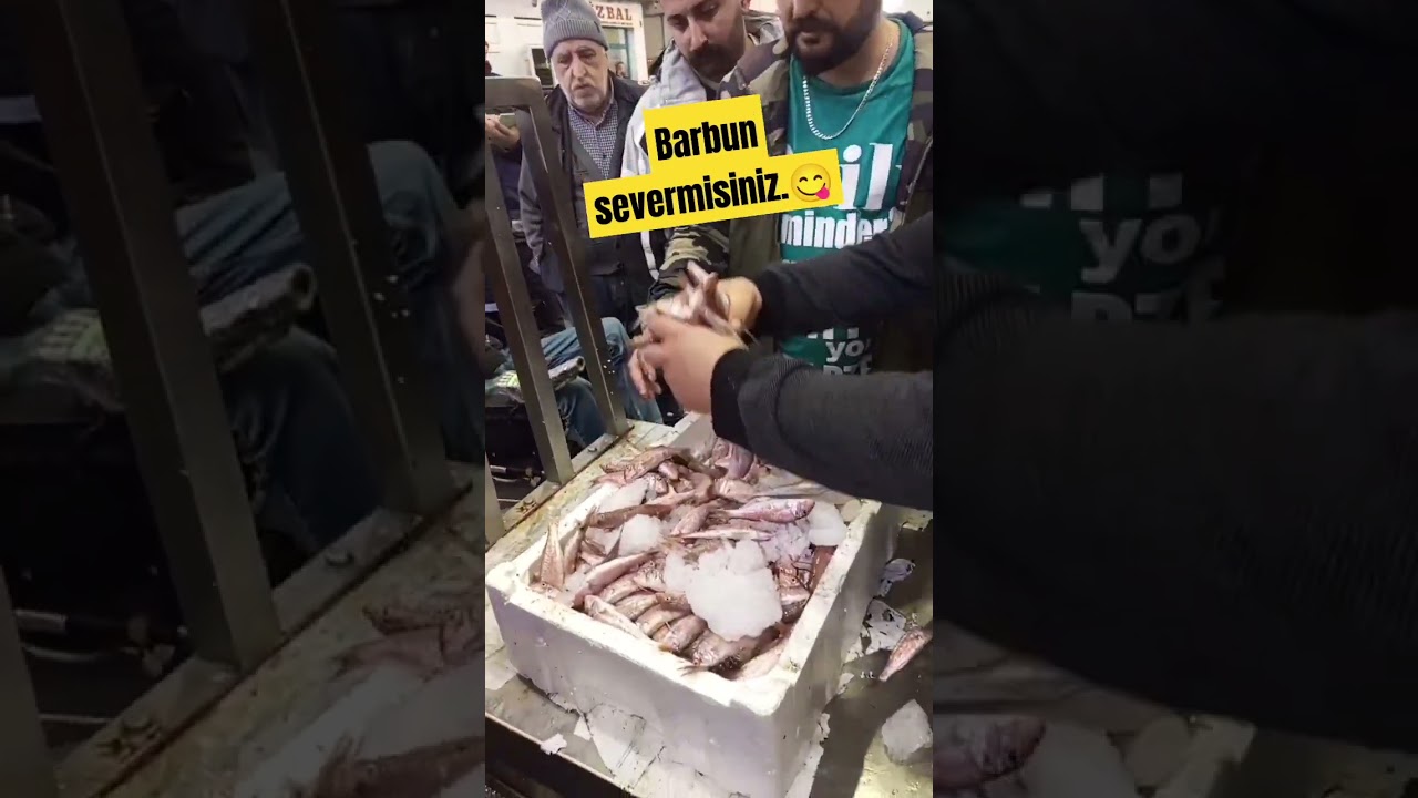 İzmir balık hali barbun mezat