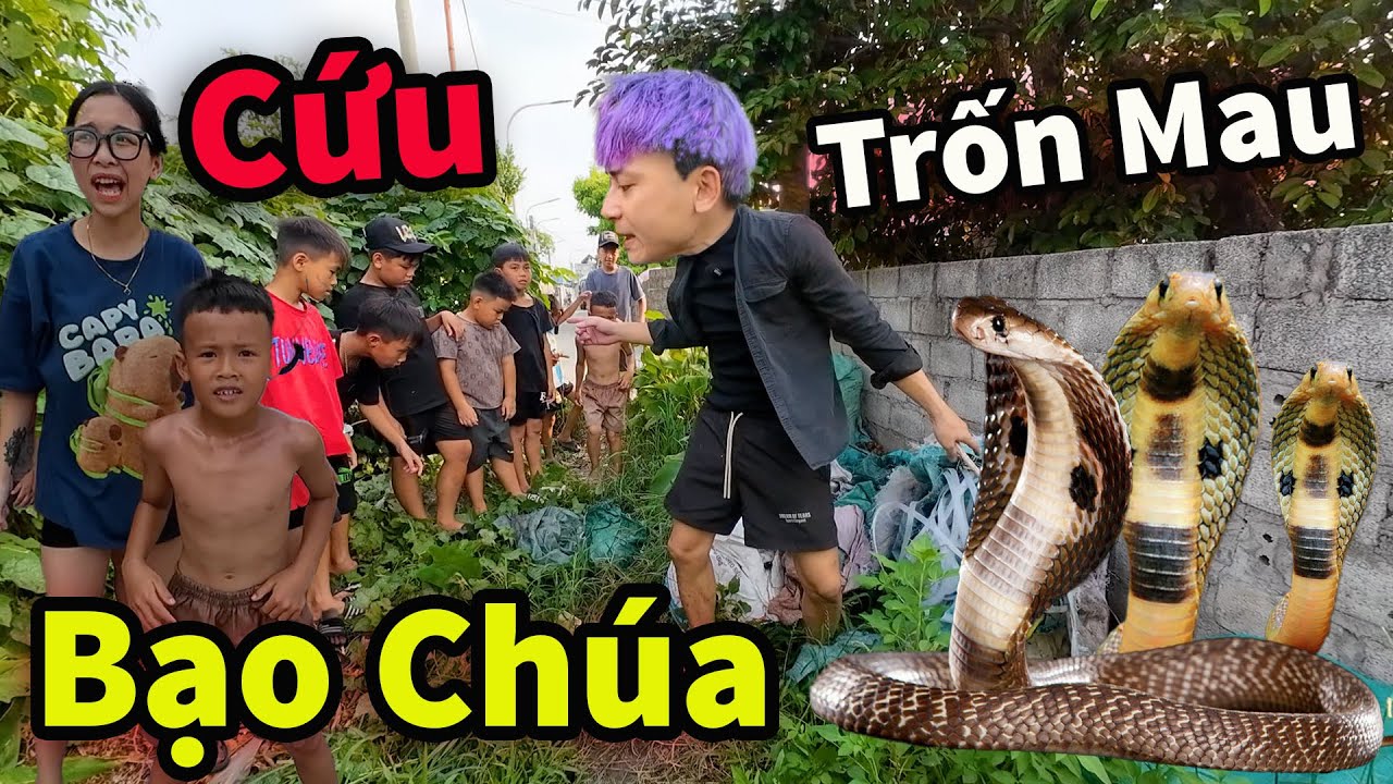 Căng ! Hậu Cáo Giải Cứu My Và Lũ Trẩu Tre Tóm Hổ Mang Bạo Chúa