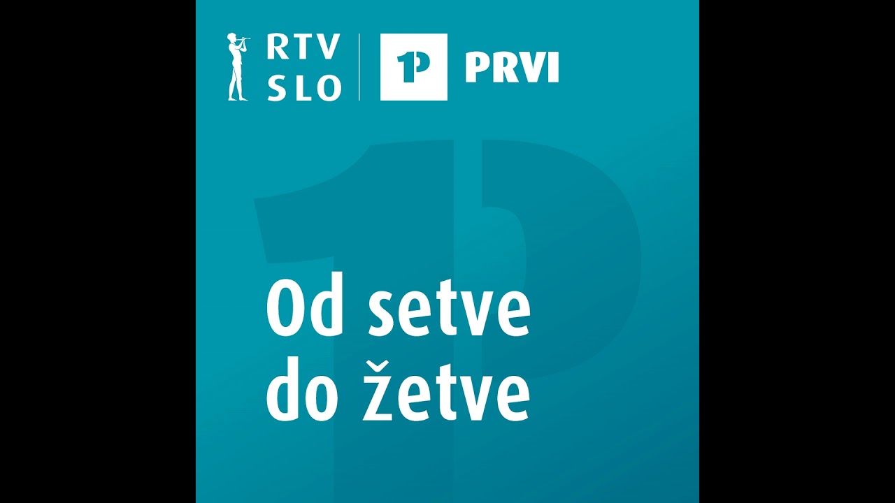 Vroči sporazum Evropska unija–Mercosur je na začasnem čakanju