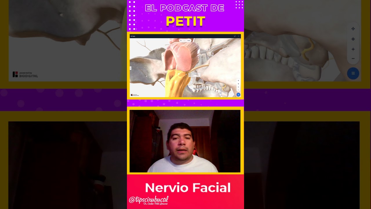 Nervio Facial - El Podcast de Petit - Episodio 1