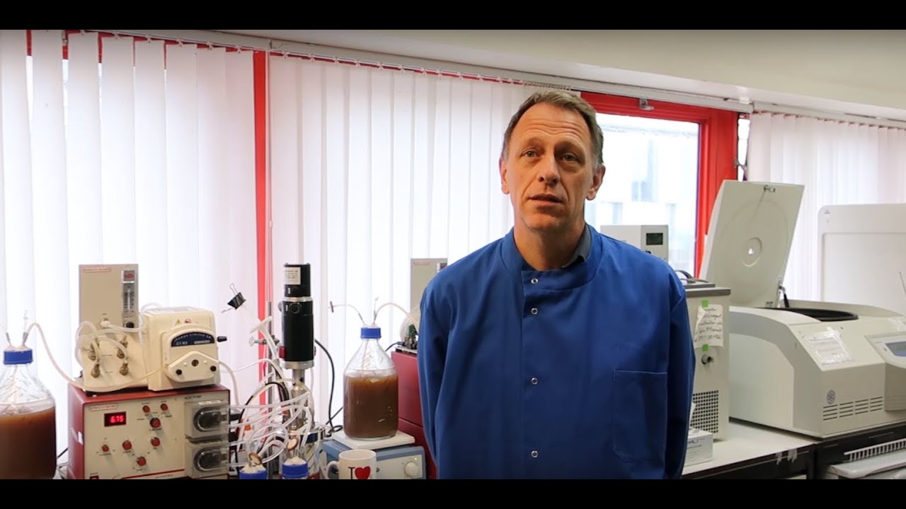 Bile salt hydrolases mediate the efficacy of FMT for recurrent C.diff infections
