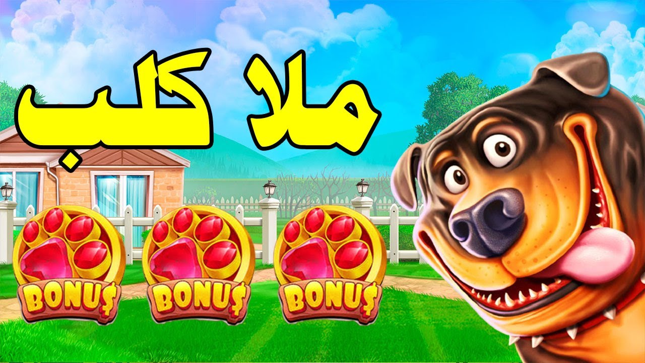 The Dog House MEGAWIN 🐶🎰 أسقط كلب في تونس