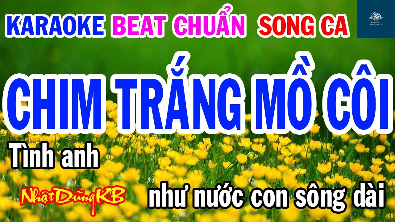 Chim Trắng Mồ Côi  Karaoke Song Ca - Nhạc Sống - Nhật Dũng KB