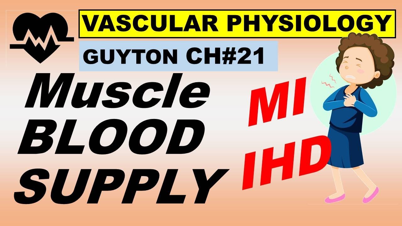 Ch#21 Physiology Guyton | Muscle Blood Flow & Coronary Blood Supply | IHD | MI | Guyton Physio