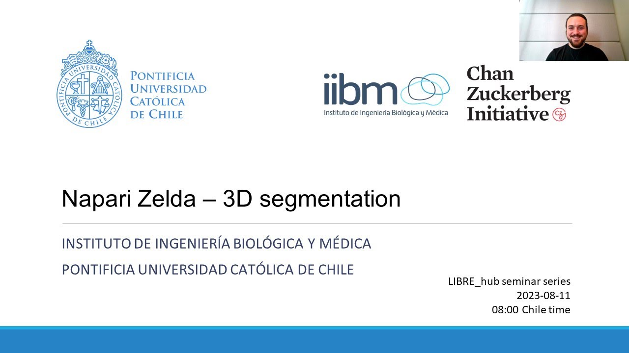 Napari Zelda Tutorial  on 3D image segmentation for microscopy | Rocco D'Antuono | Bioimage analysis