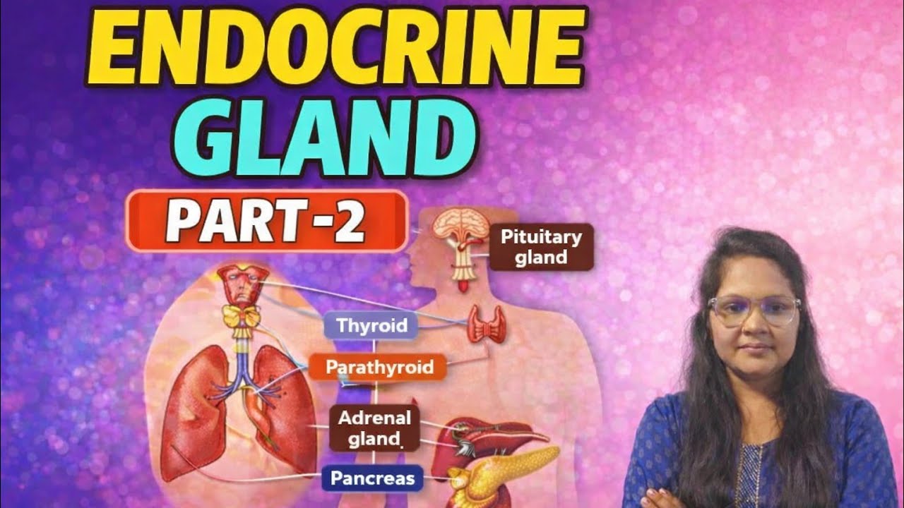 Endocrine Gland Part–2 | Master Gland (Pituitary) Explained in Hindi