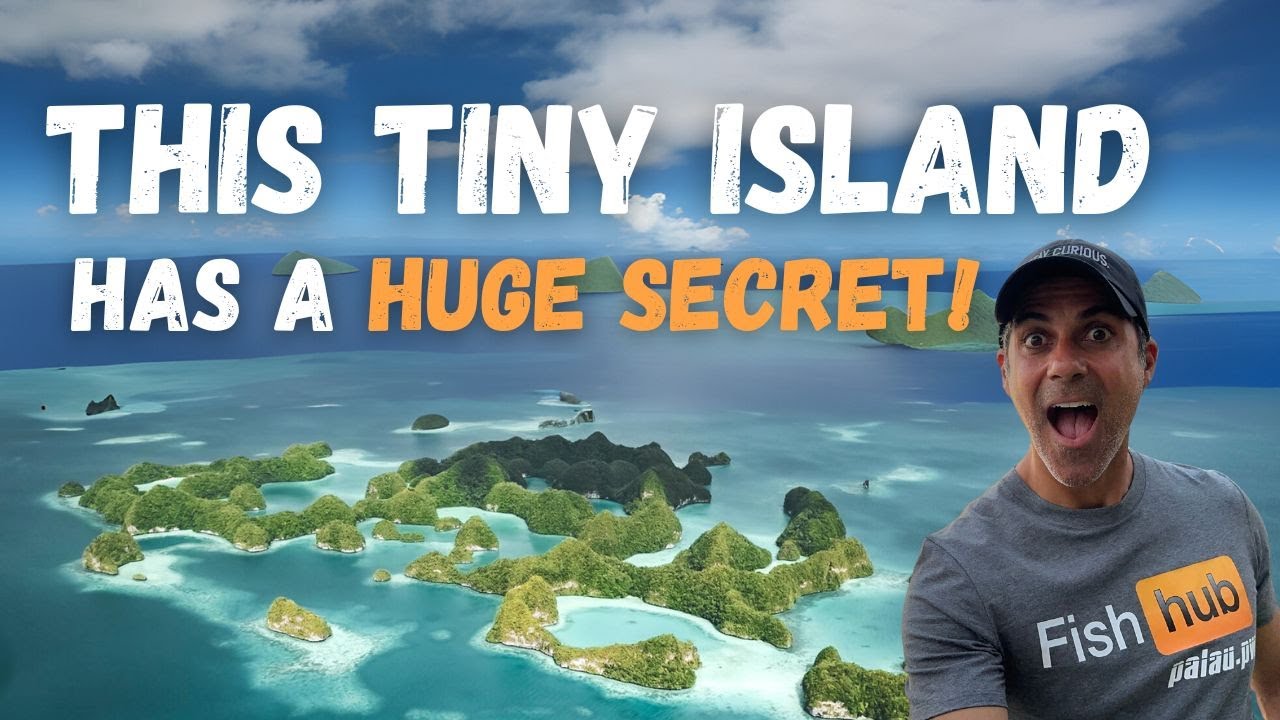 Is This The Most Beautiful Diving Spot On Earth? | PALAU