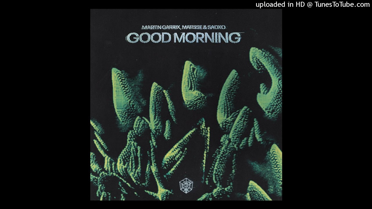 Martin Garrix, Matisse & Sadko - Good Morning (Intro Edit DragonMusix)