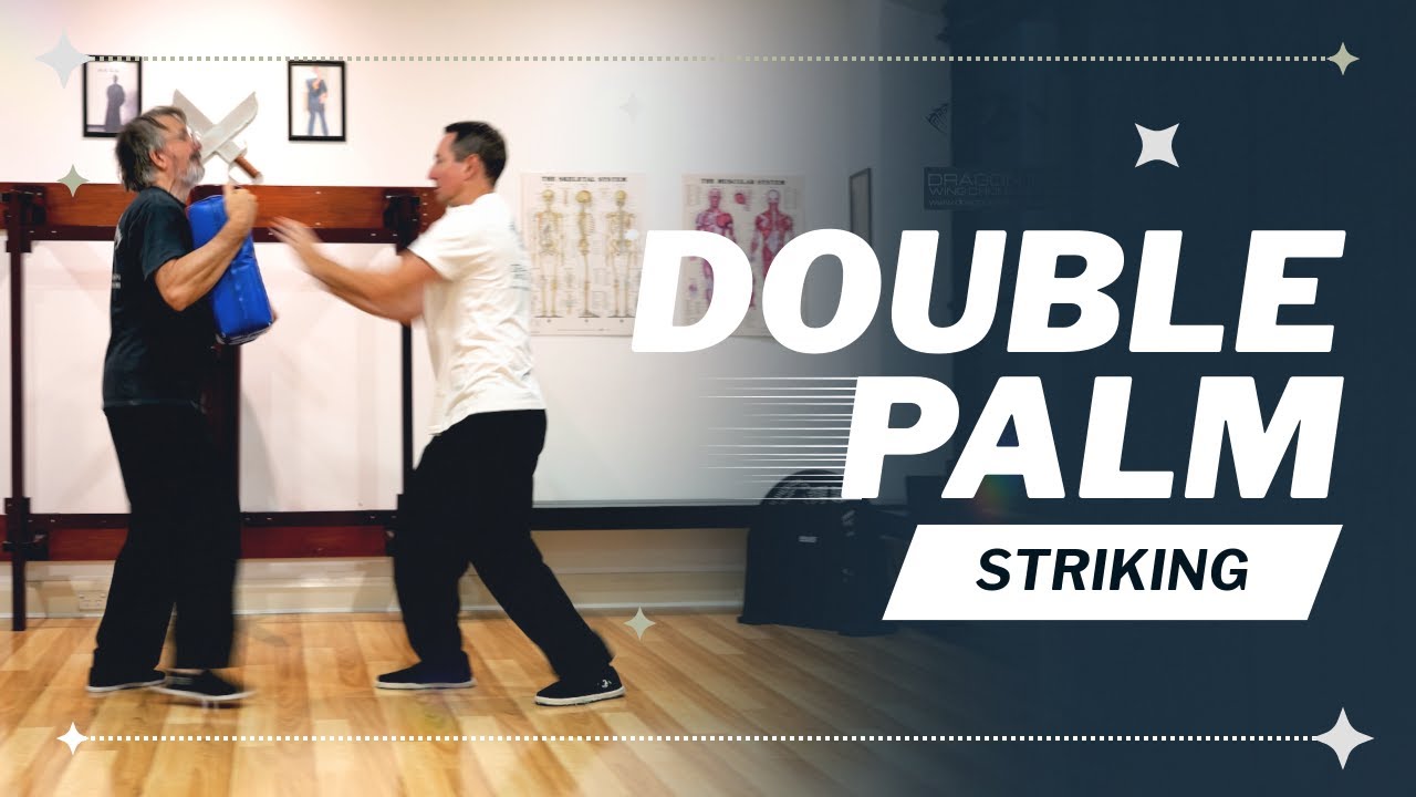 Wing Chun Palm Strike: Double Palm Strike for Real Self-Defense (Mechanics + Targets)