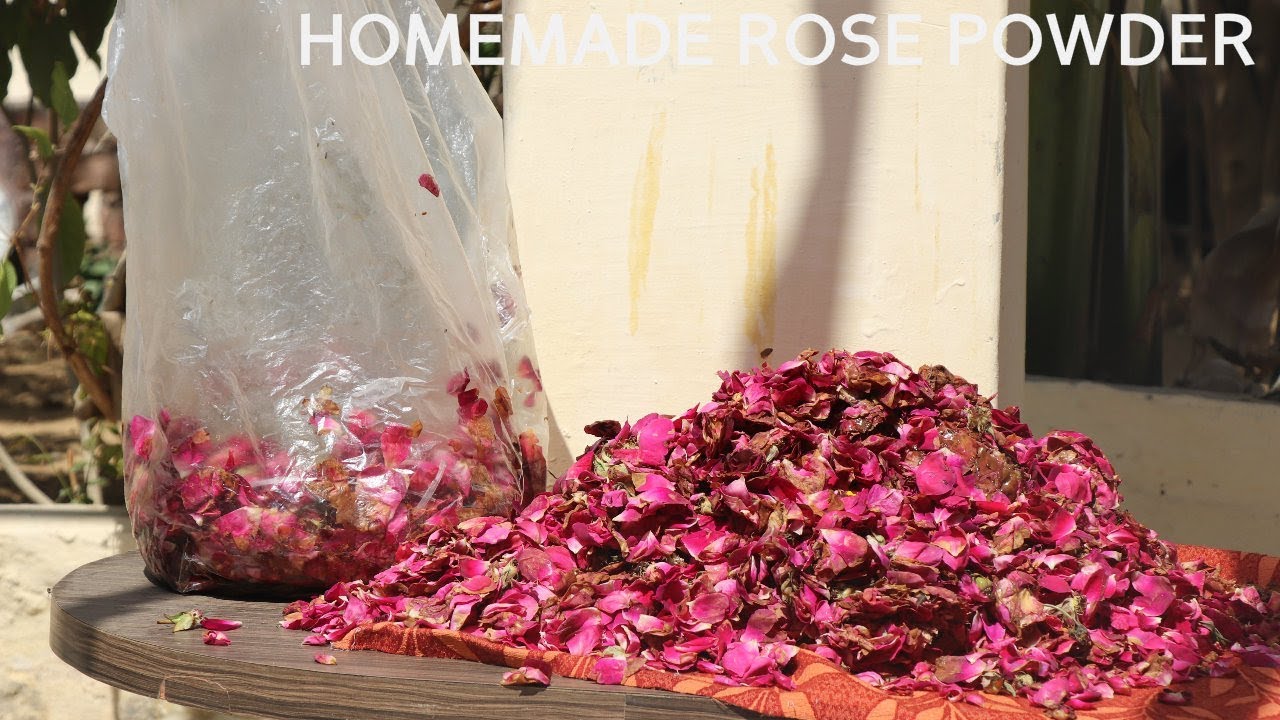 Homemade Rose Powder| USES OF ROSE POWDER| Rose Powder For Glowing Skin
