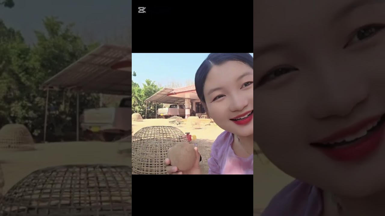 Lo thaij kab cua Nrog kab cua tham lu me2