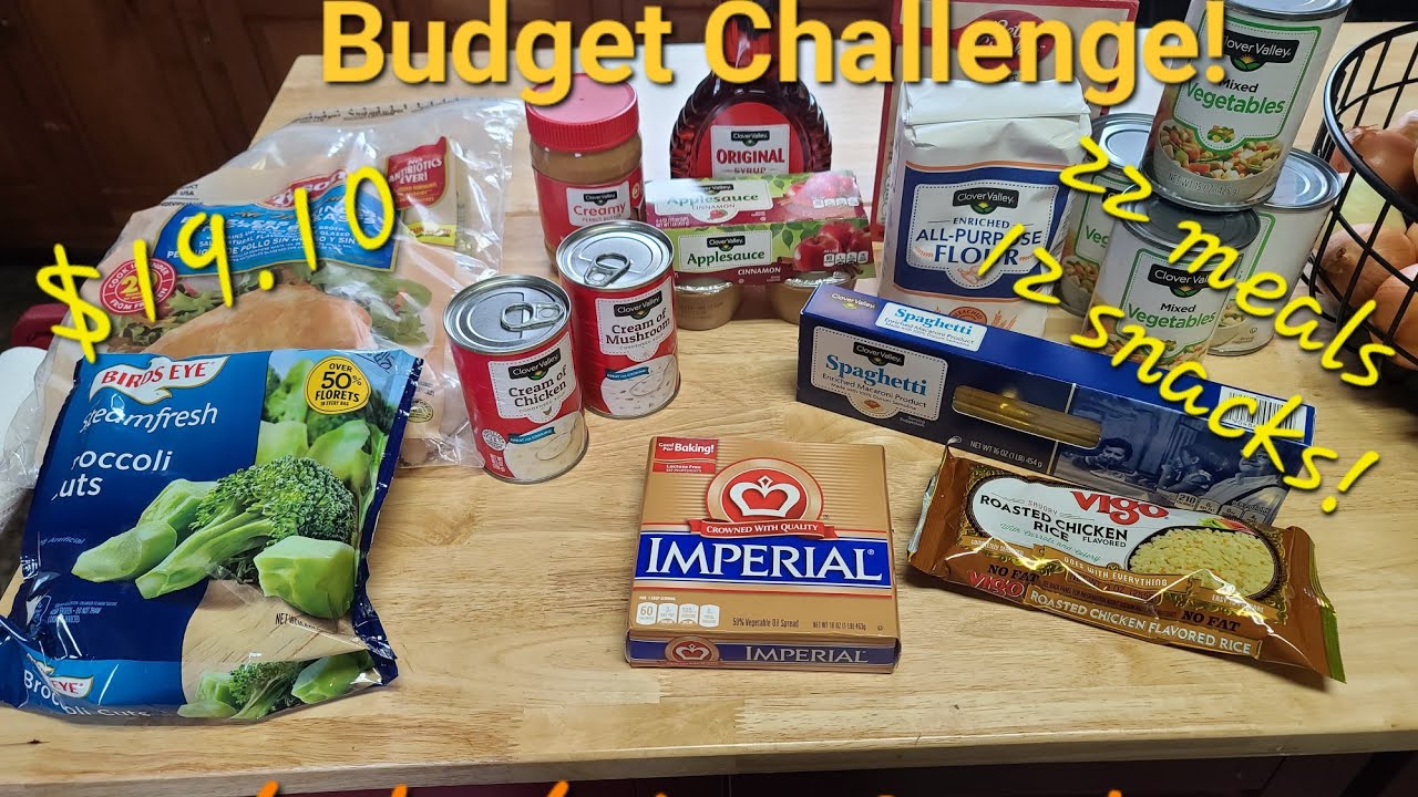 $20 Grocery Budget challenge Dollar General