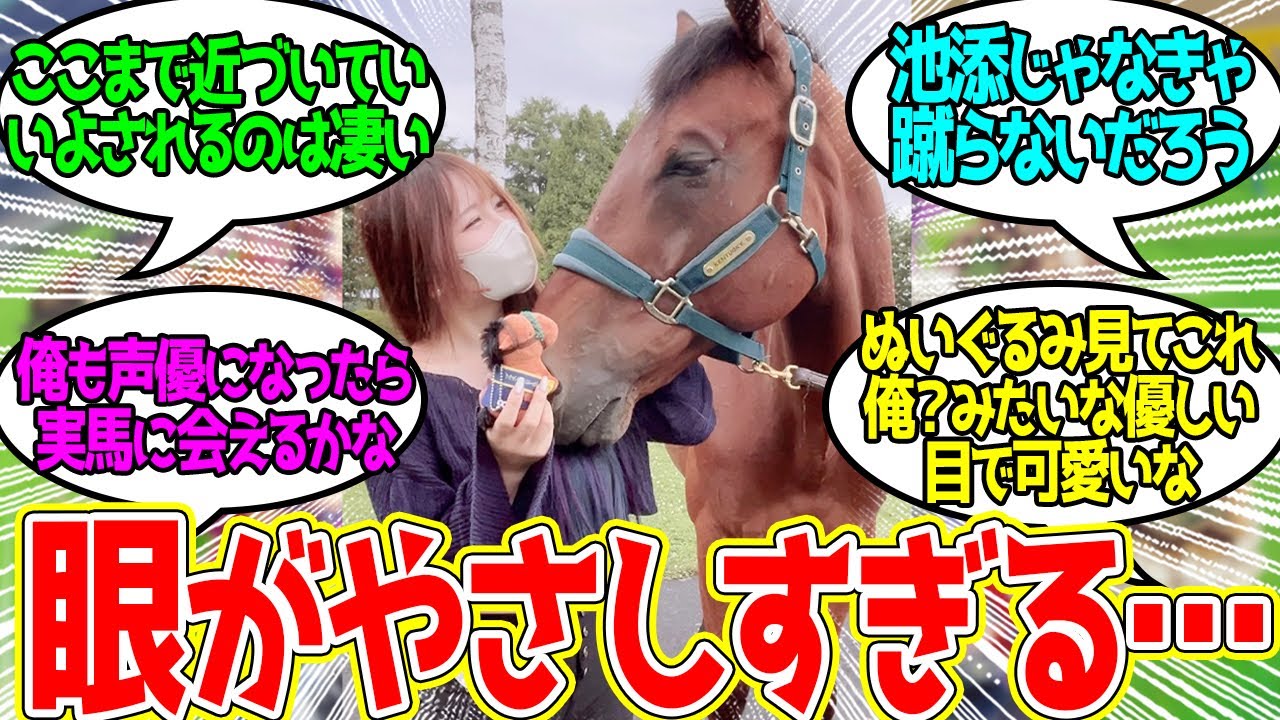 ブラストワンピースって人懐っこいんだね…に対するみんなの反応！【競馬 の反応集】