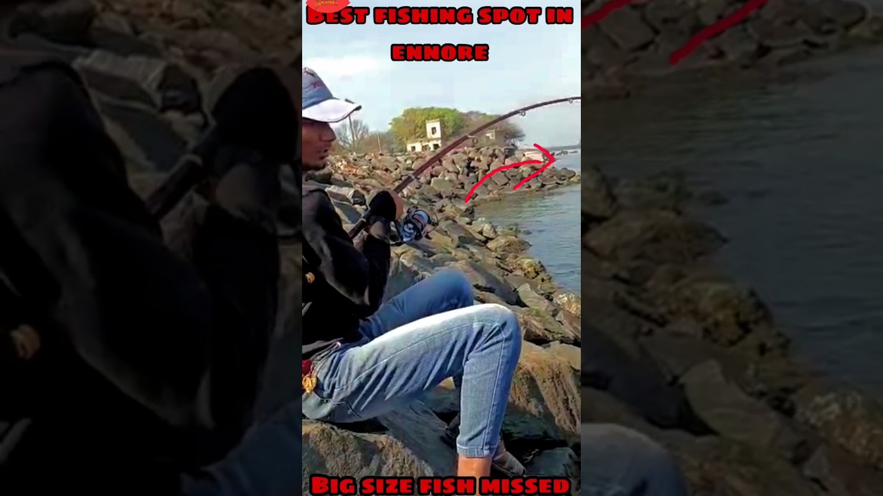 The best spot for sea fishing in chennai 🐠🐟 |fishing tamil| #fish #fishing #tamil #trending #new