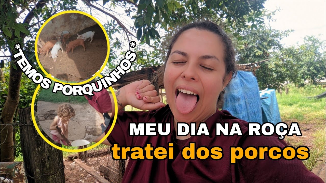 Daily vlog no sítio 🌿 | Meu dia na roça, sem pressa