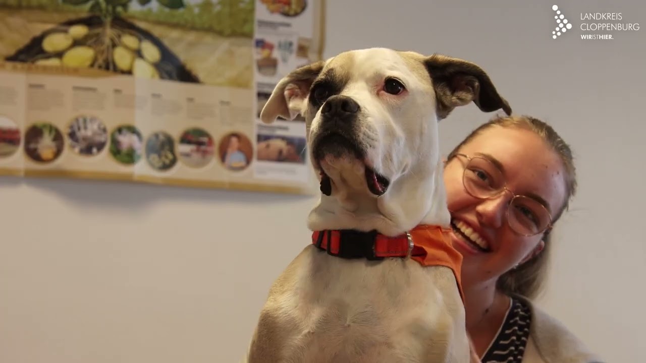 Schulhund Butch zeigt seinen Alltag an der BBS Technik Cloppenburg