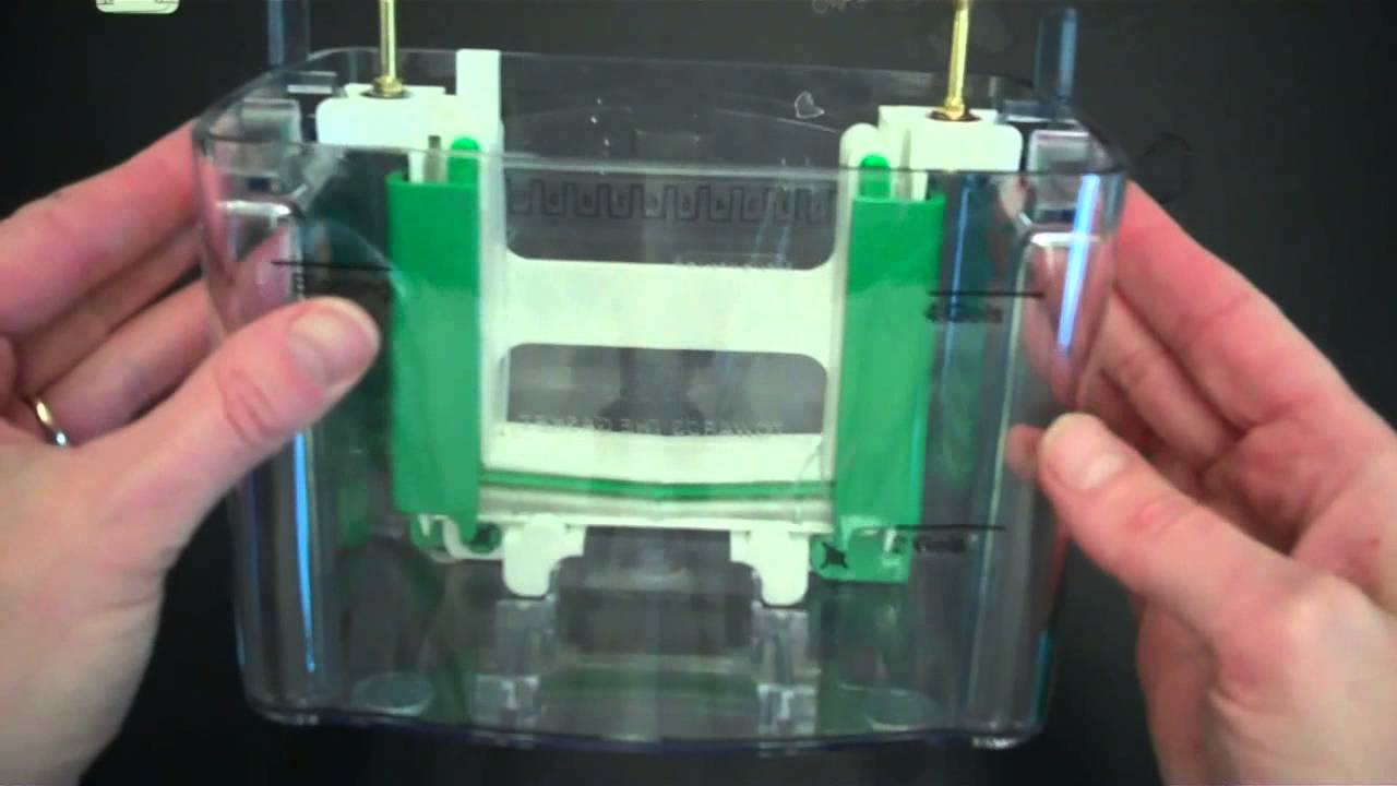 SDS PAGE Part 1 Assembly and Electrophoresis