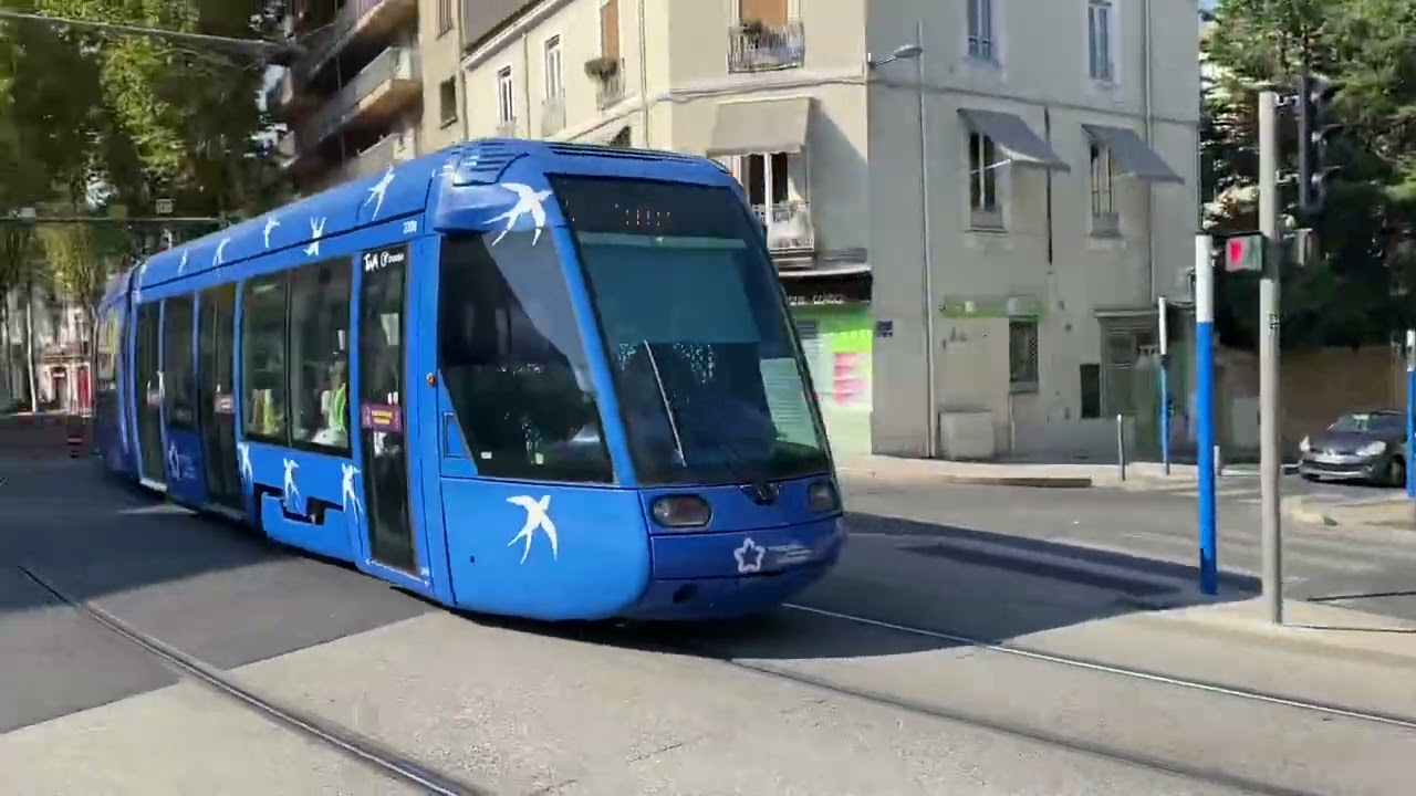 Trams in Montpellier.