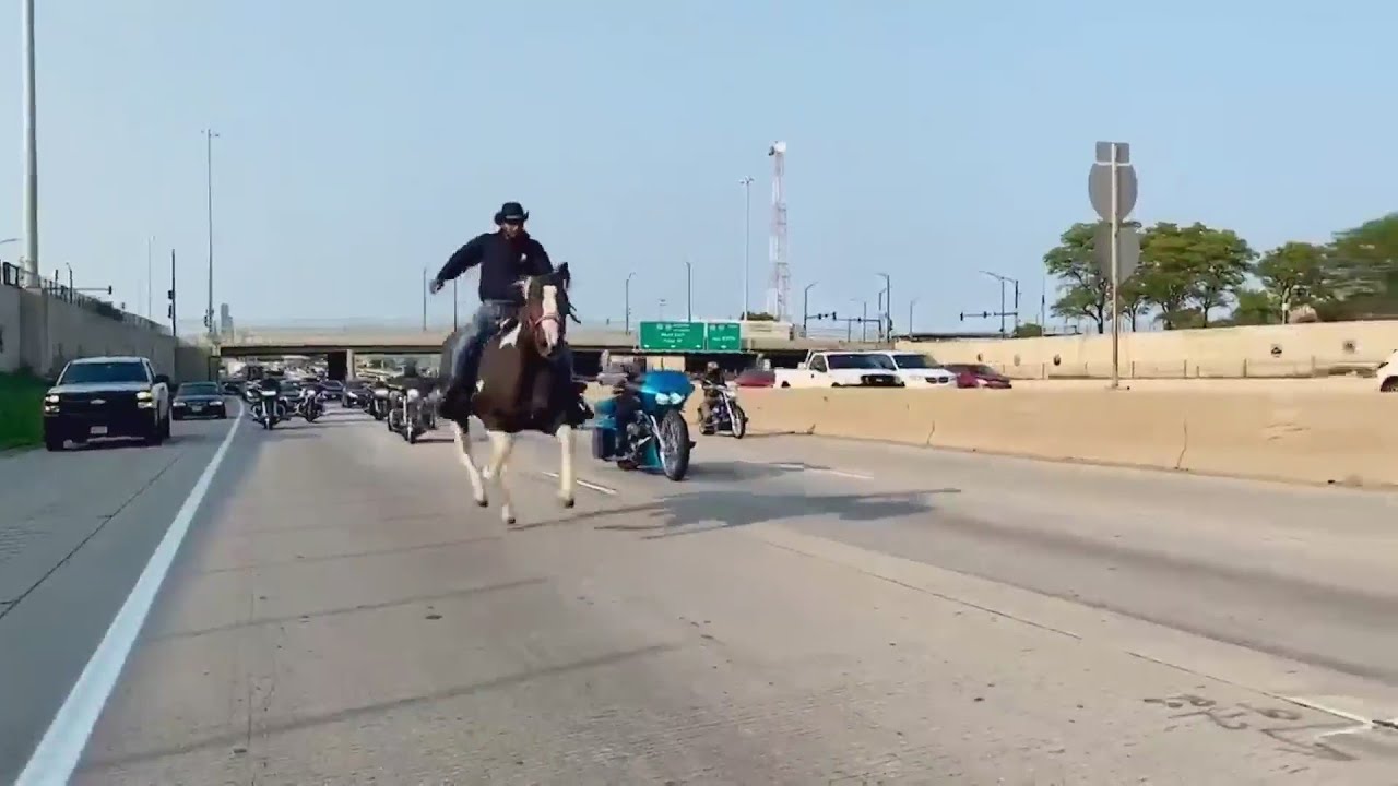 'Dreadhead Cowboy' faces 3 charges after riding horse on Dan Ryan