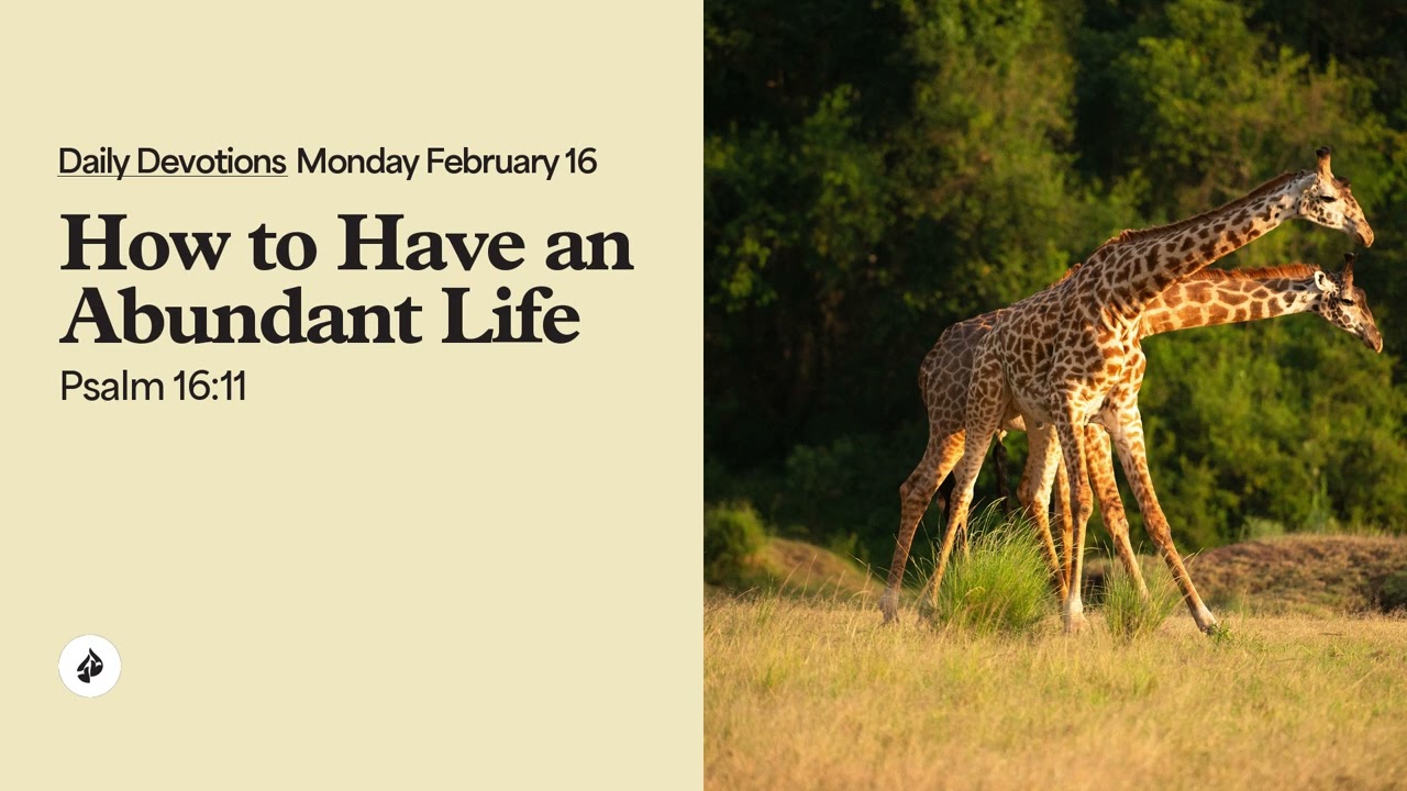 How to Have an Abundant Life &ndash; Daily Devotional