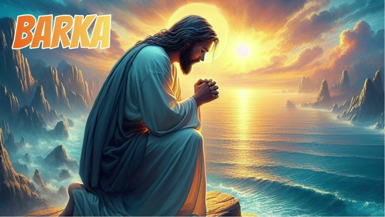 BARKA - Piotr Jurkiewicz