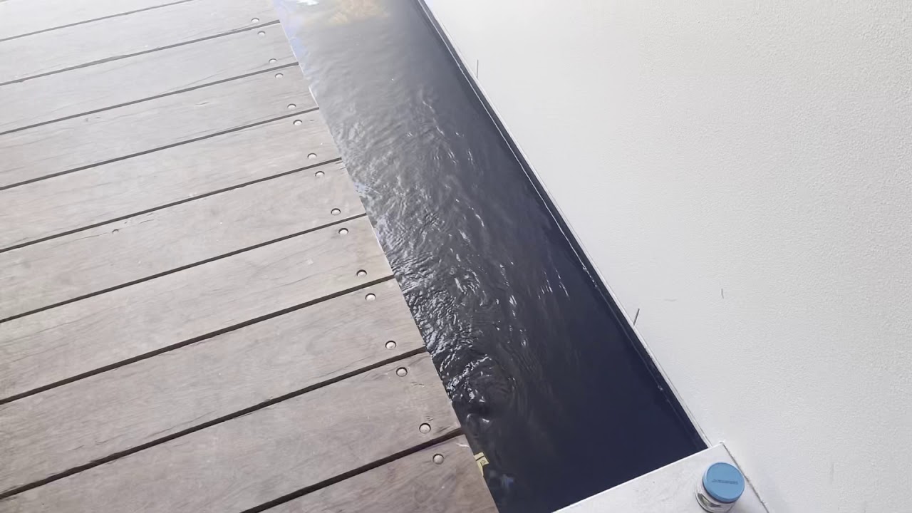 Tips for adding fish to a new pond!