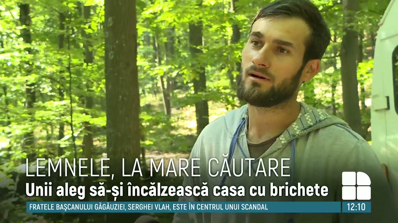 Sezonul lemnelor de foc a &icirc;nceput. C&acirc;t costă un metru ster de lemn