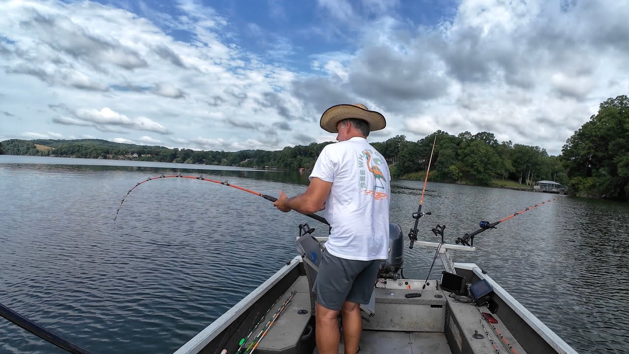 Morning Catfish Bite At Downtown Kingston Tennessee