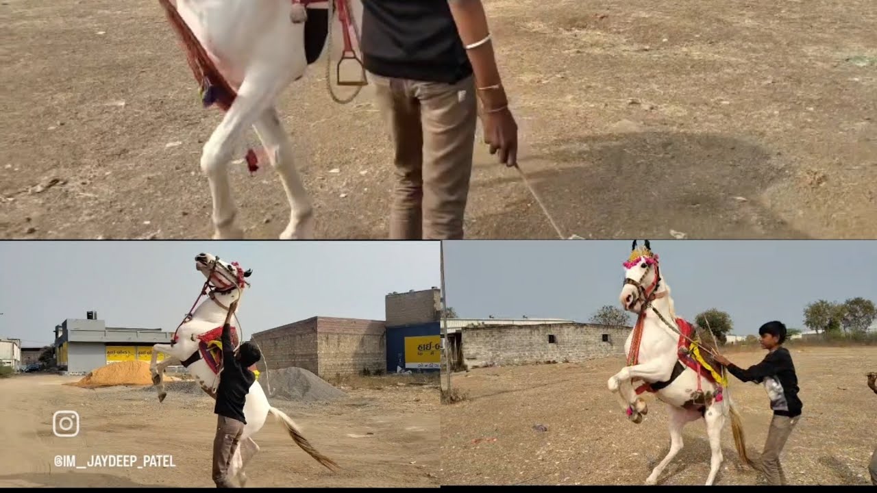 હા સોનલ તારો ડાન્સ હા હા સોનલ બે પગે હાલી જાય હો 🔥