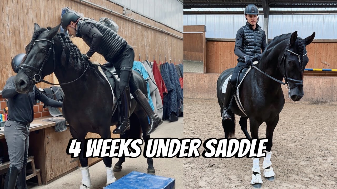 I RODE MY YOUNG STALLION FOR THE FIRST TIME!