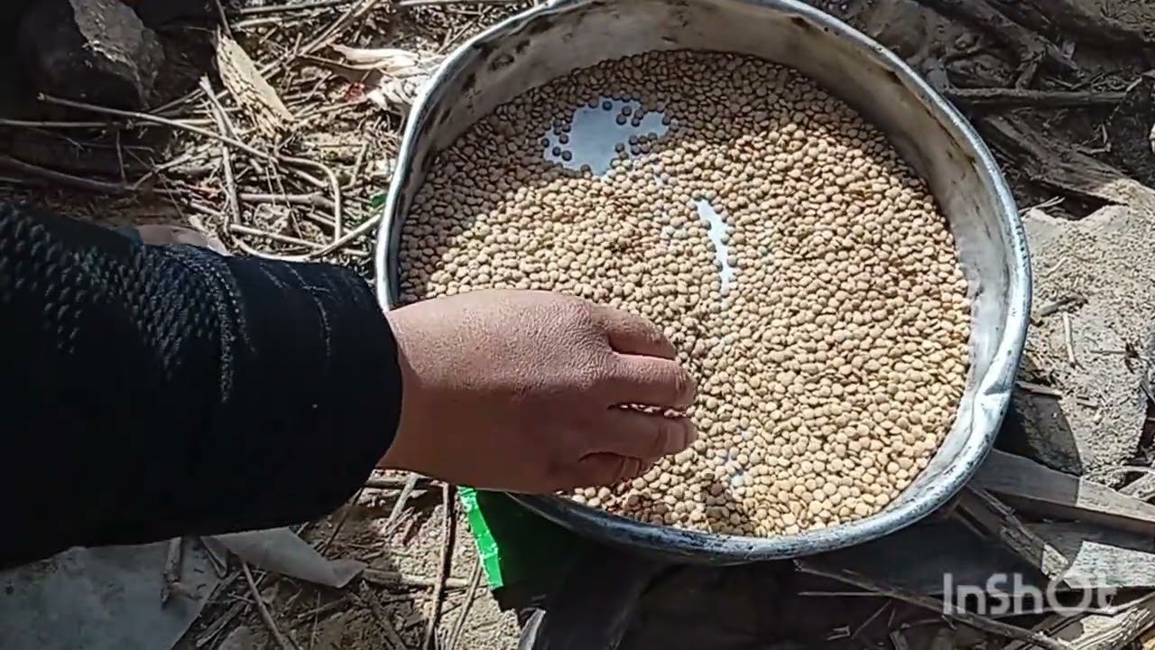 بتعرفوا شو طبختنا اليوم#اطفال#غزة#المغرب#الجزائر#اليونان#مصر#قطر#السعودية_الكويت_الامارات#تونس#تركيا