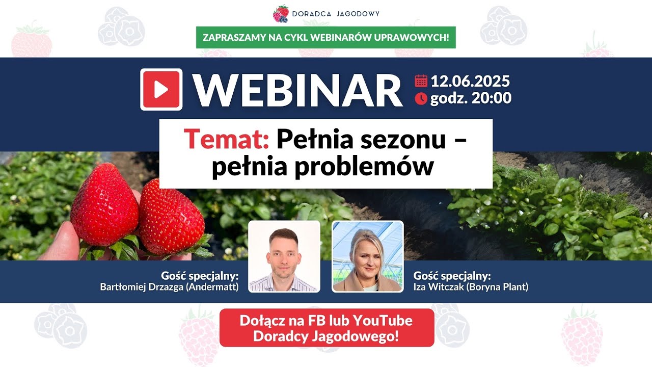 Truskawkowy szczyt sezonu,jakie działania agrotechniczne podejmować  WEBINAR z dnia 12 czerwca 2025
