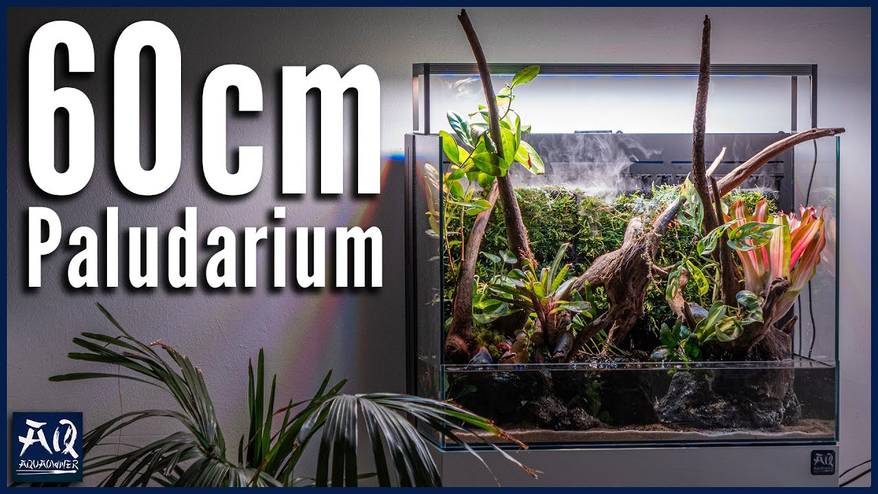 Tropisches Paludarium mit R&uuml;ckwand und Nebel | AquaOwner