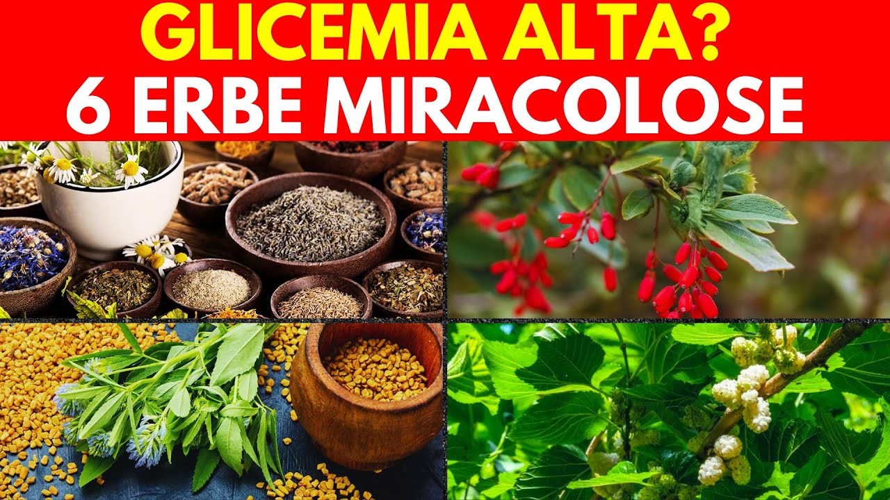 Quali Piante Abbassano la Glicemia Più Velocemente? 🌿🔴✅