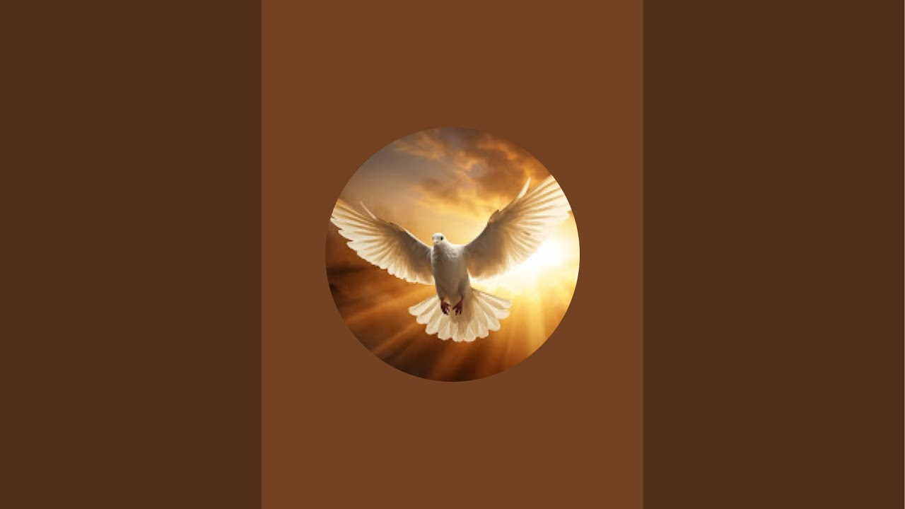 Spirit of Life Ministries/ Sunday Morning Bible Teaching