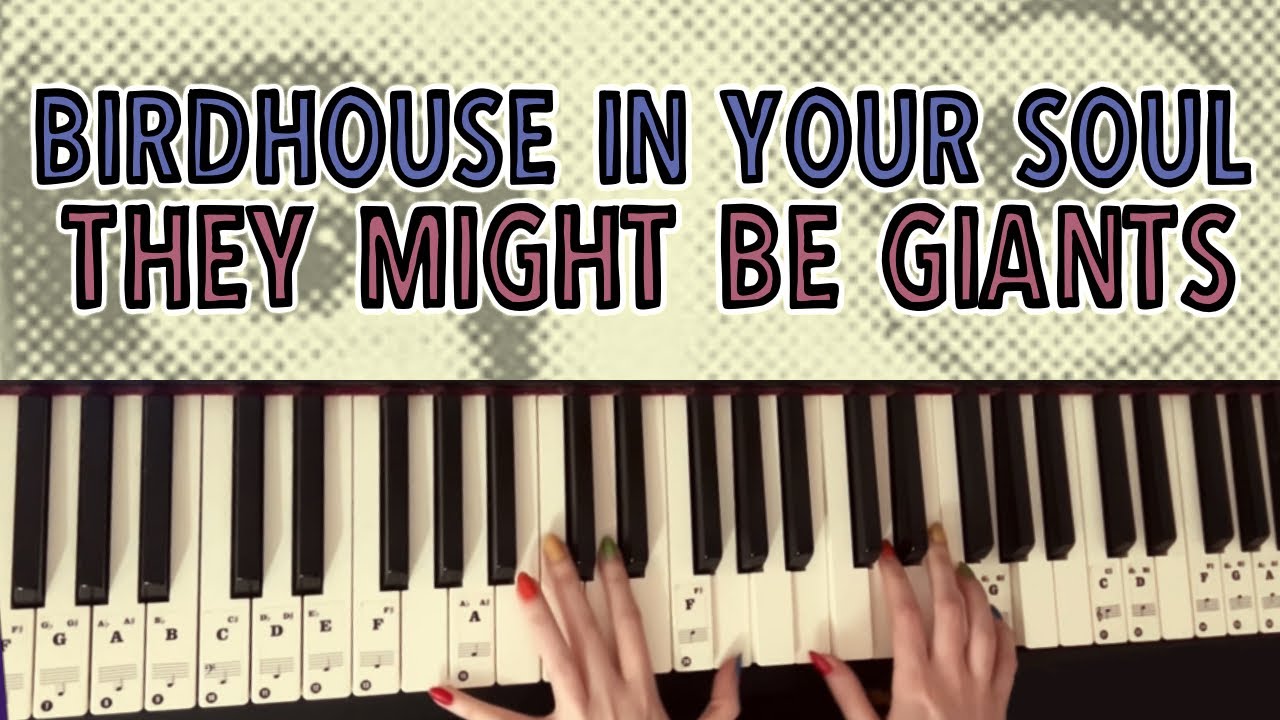 Birdhouse in your Soul - They Might Be Giants (piano cover)