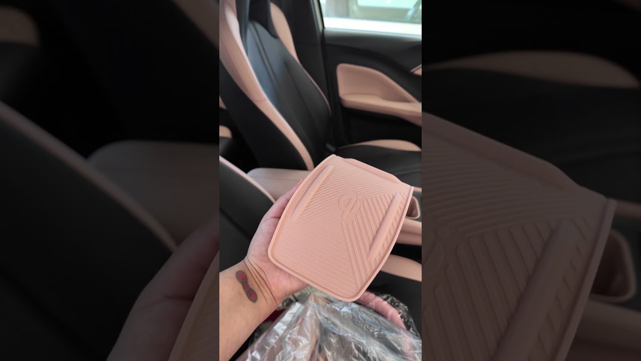 Decorando mi coche | BYD Dolphin Mini 💞