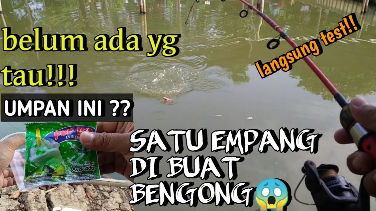 BAHAYA !! UMPAN INI BISA NGURAS HABIS SATU KOLAM BAWAL HARIAN DALAM WAKTU SINGKAT😱 | NEKAD MANCING