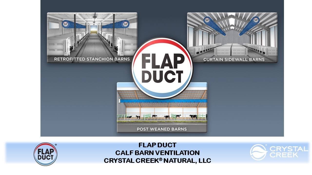 FLAP DUCT Calf Barn Ventilation mp4 Original