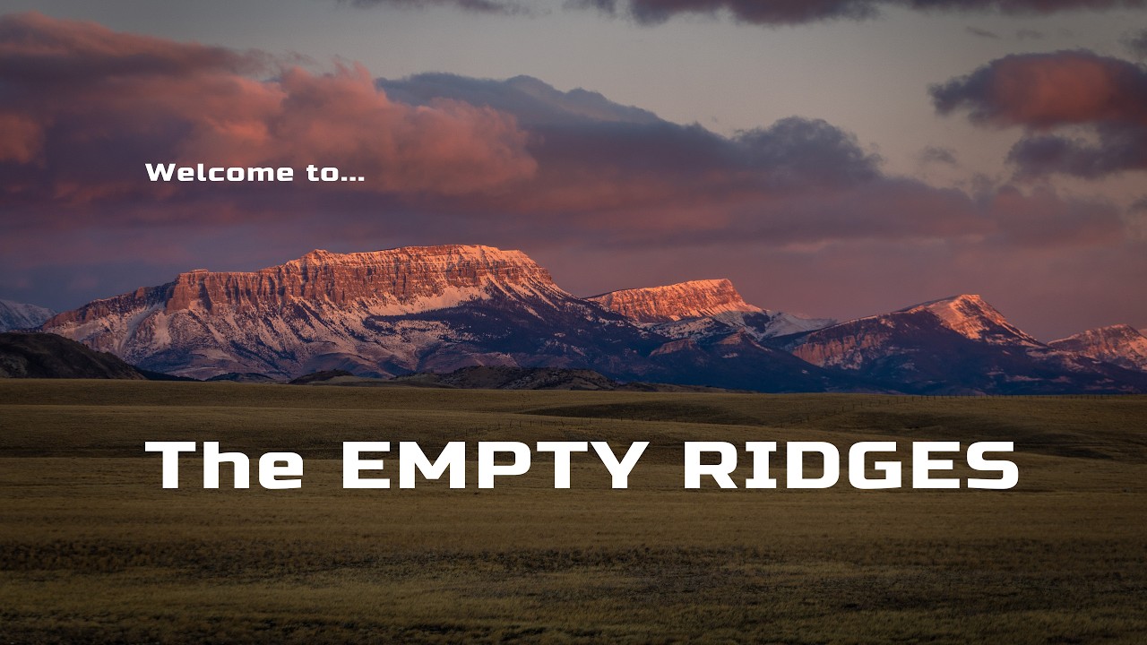 The $1 Trillion Machine Against Hunting Just Cracked!