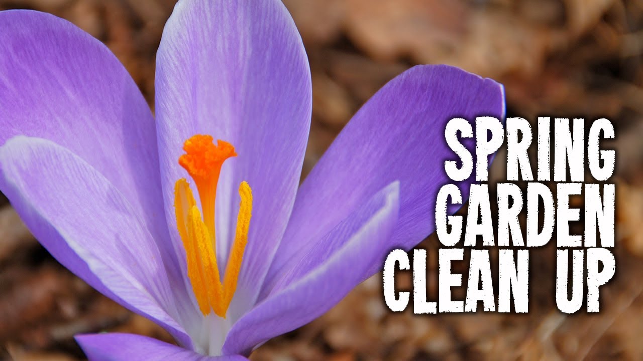 Get Off to a Good Start with a Spring Garden Clean Up